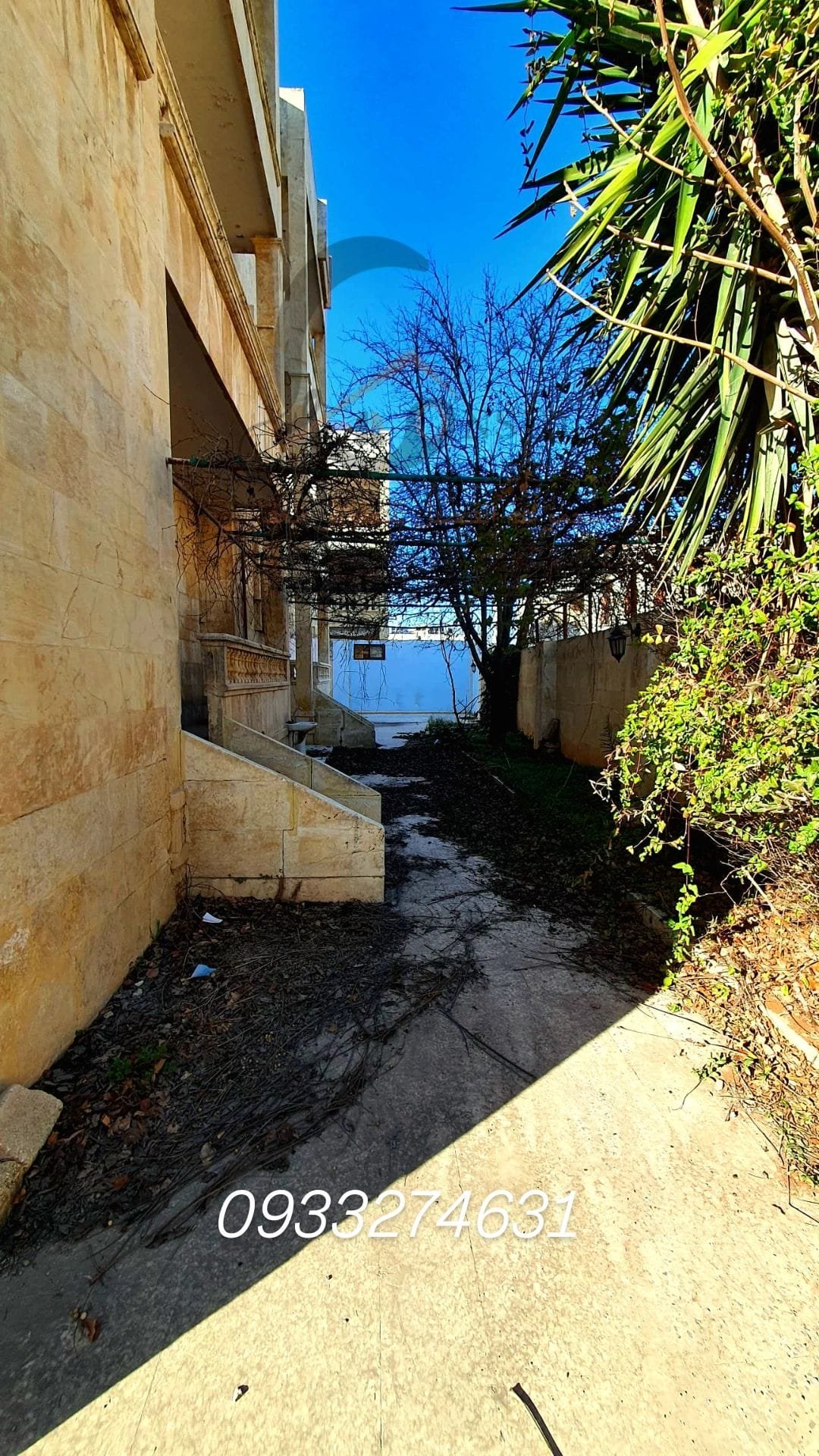 480883971_1201952695267853_1125981205821532940_n