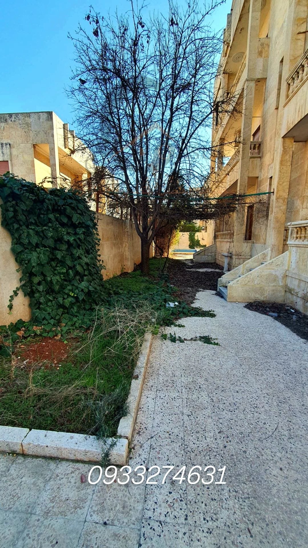 481266284_1201952671934522_7714348238679539230_n