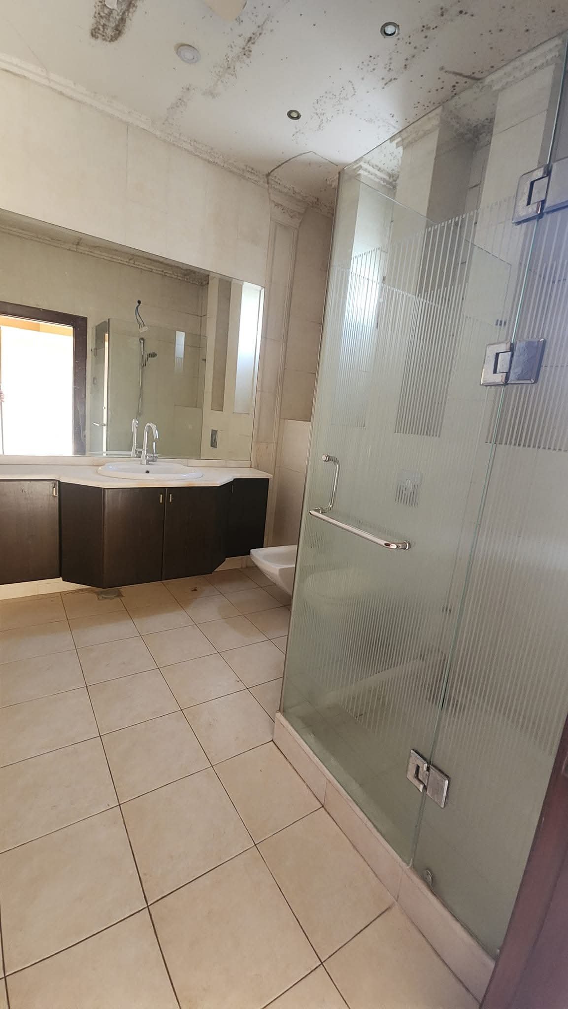 WhatsApp Image 2025-02-17 at 11.39.45 PM (2)