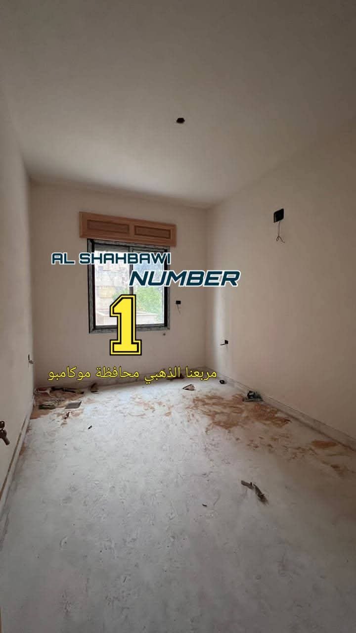 WhatsApp Image 2025-02-17 at 11.44.34 PM (3)