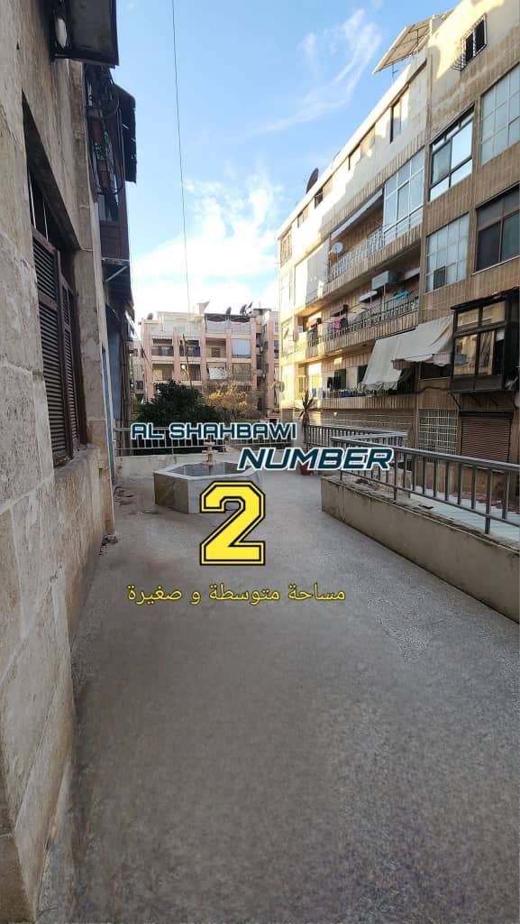 WhatsApp Image 2025-02-19 at 1.04.56 PM