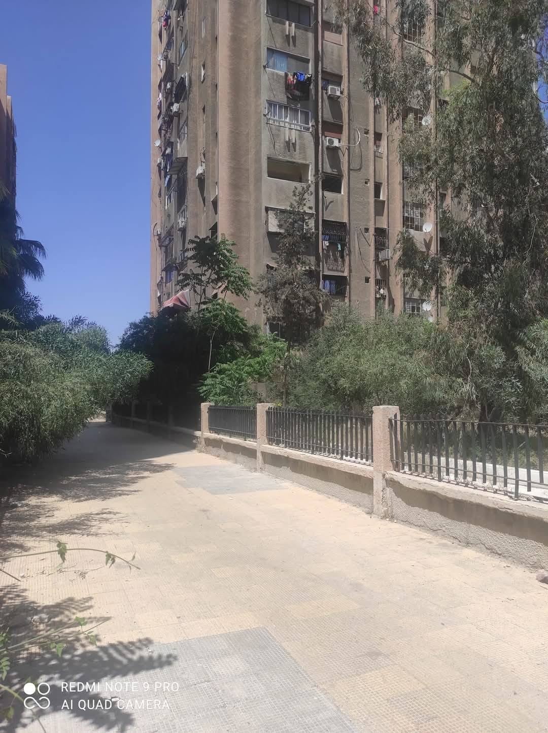 483862332_655466743703578_1754775331485007973_n