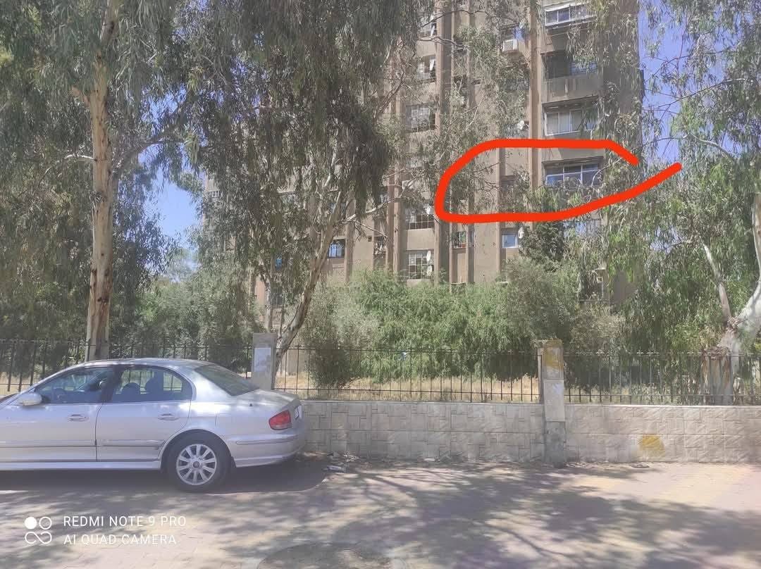 484003297_655466680370251_8443478864158464577_n