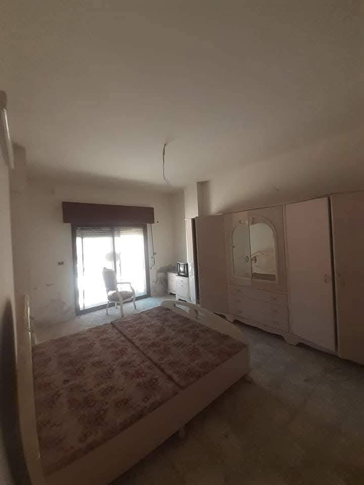 485683086_1203640911390483_8567133721193171599_n