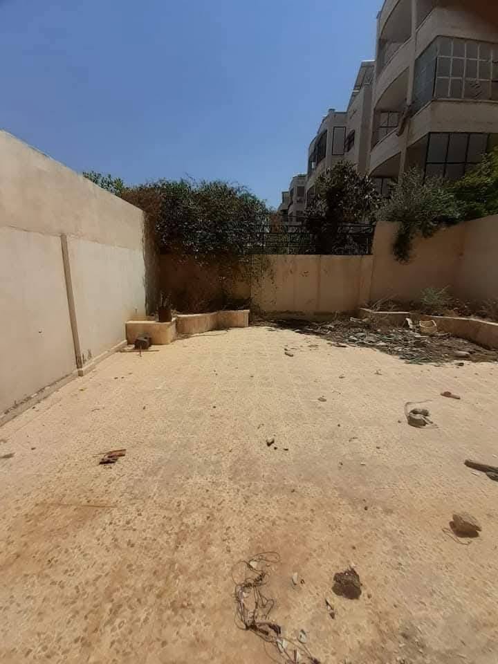 486703780_1203648988056342_4782363695208579399_n