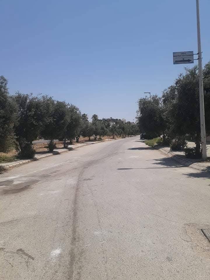 487127207_1203645338056707_7330107042721784875_n