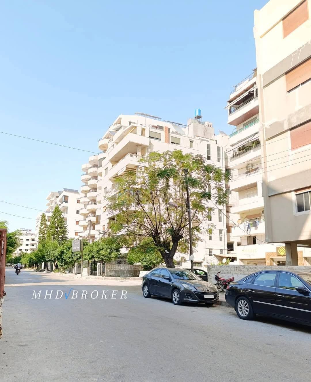 487170848_122222221496203347_5073213879405334553_n