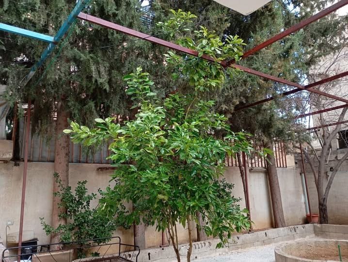 487206193_122161372220354543_3931858116012250154_n