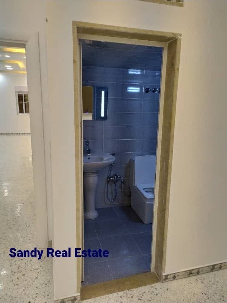 photo_11_2025-03-06_07-41-12