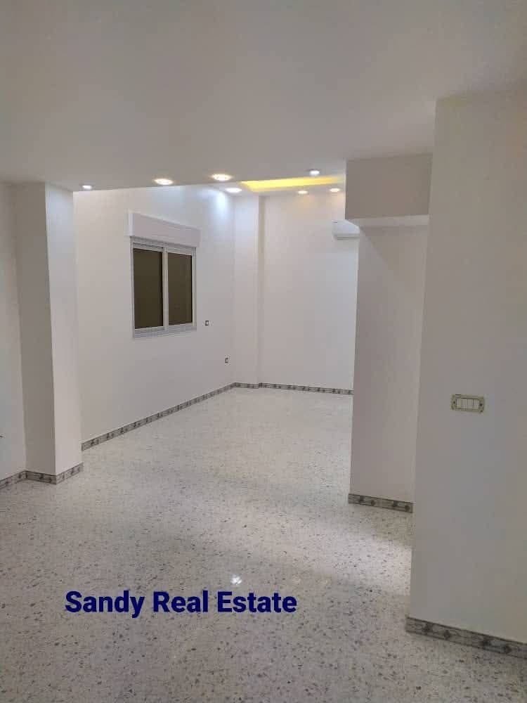 photo_17_2025-03-06_07-41-12