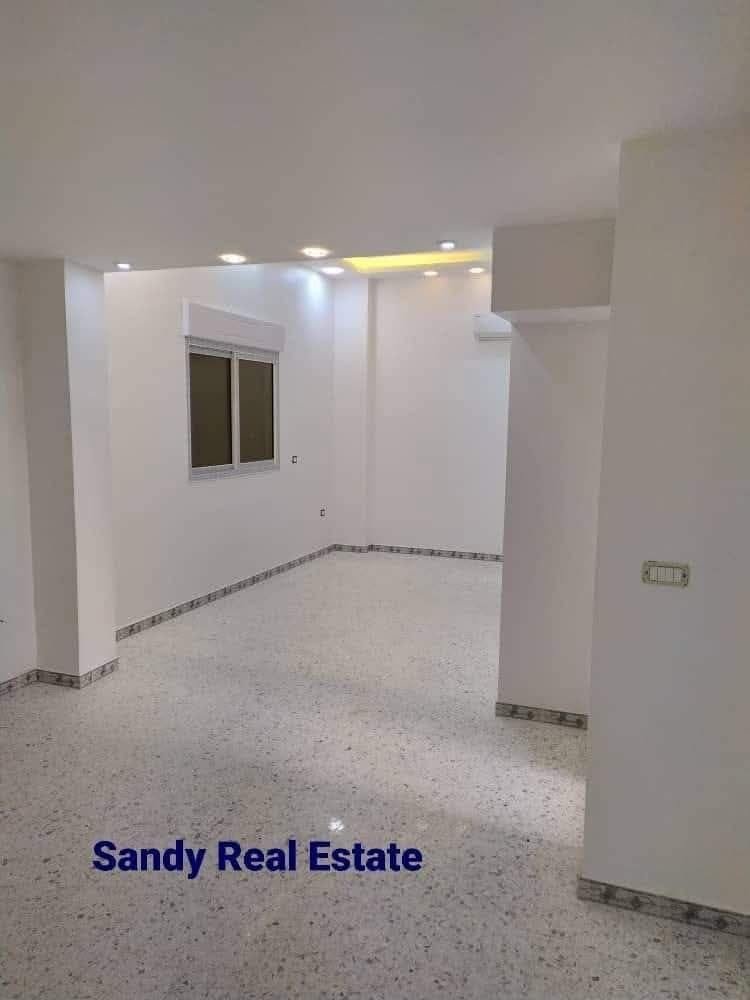 photo_1_2025-03-06_07-41-12