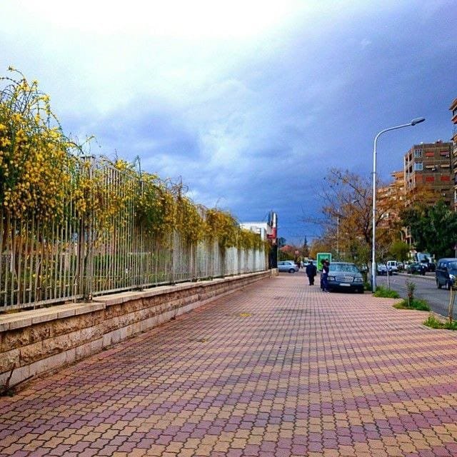 photo_1_2025-03-06_09-07-03