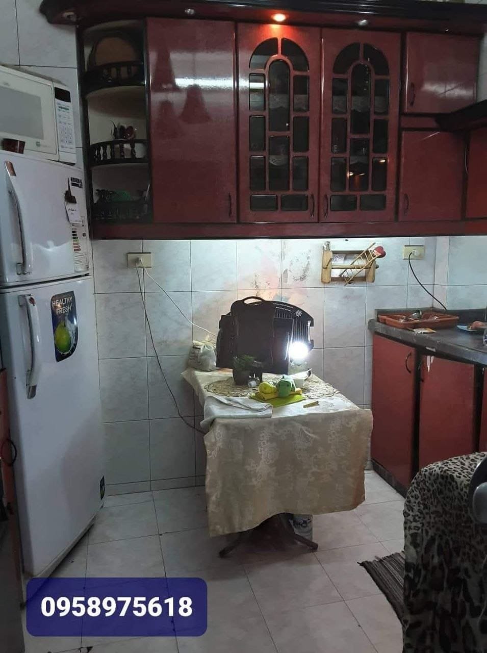 photo_3_2025-03-23_04-18-45