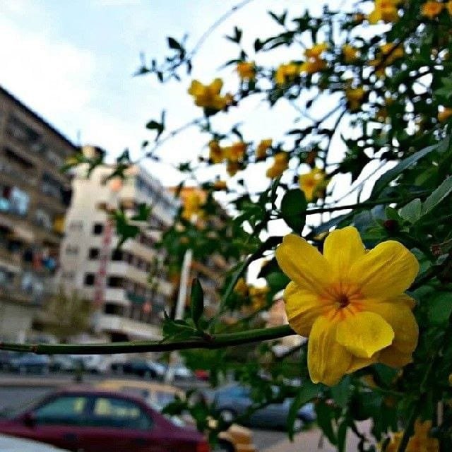 photo_4_2025-03-06_09-07-03