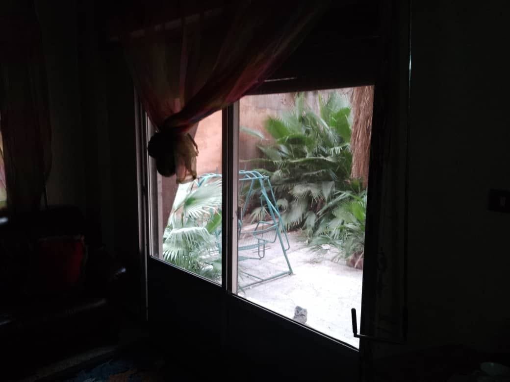 photo_4_2025-03-23_05-42-27