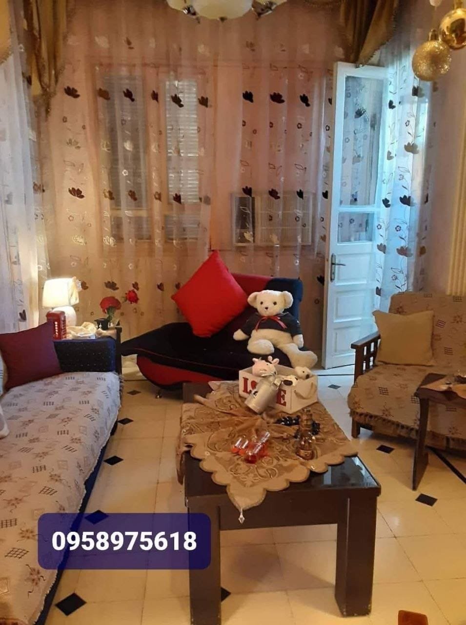 photo_5_2025-03-23_04-18-45