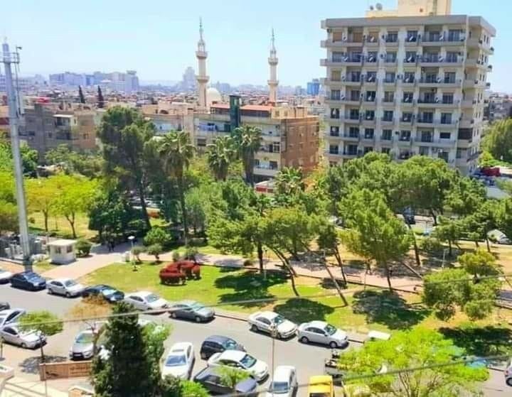 photo_5_2025-03-23_05-42-27