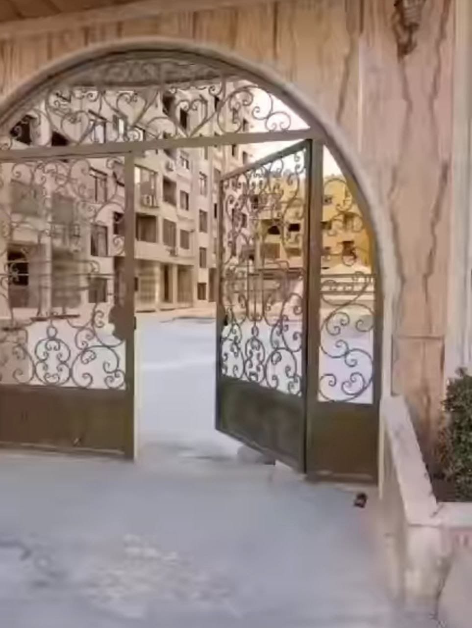 photo_6_2025-03-06_09-36-42