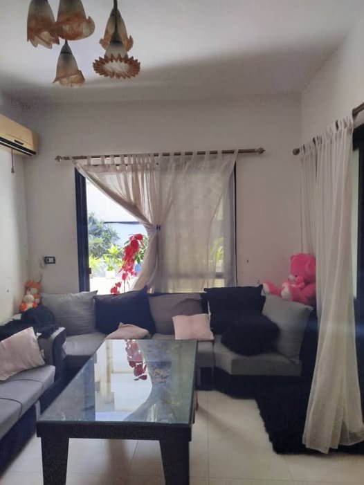 477365766_513000698499081_8370433747101238170_n