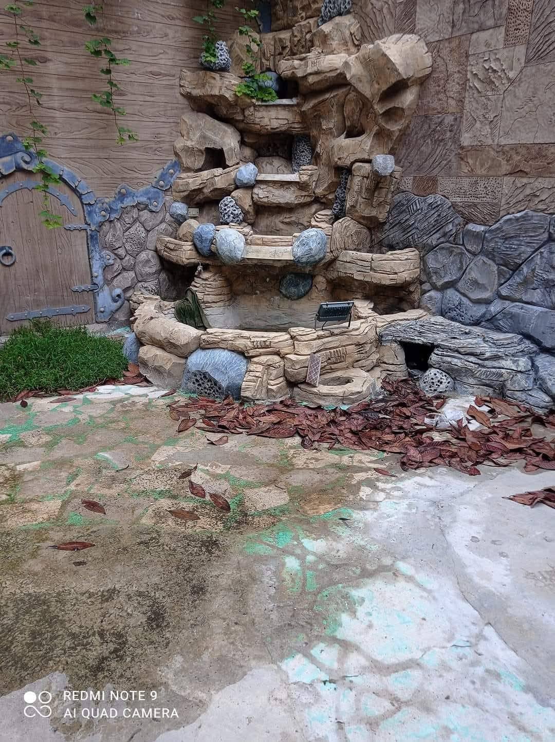 481155451_1099613435303182_8633101502525396281_n