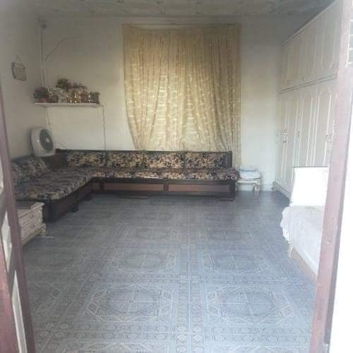 485768178_677925331585795_3651196910584680499_n