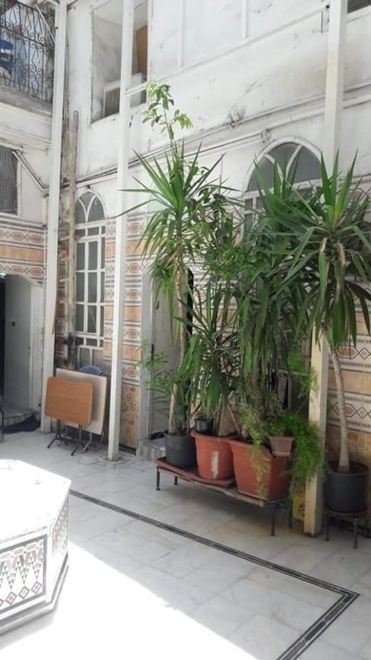 485853898_677925474919114_1049799333087158573_n