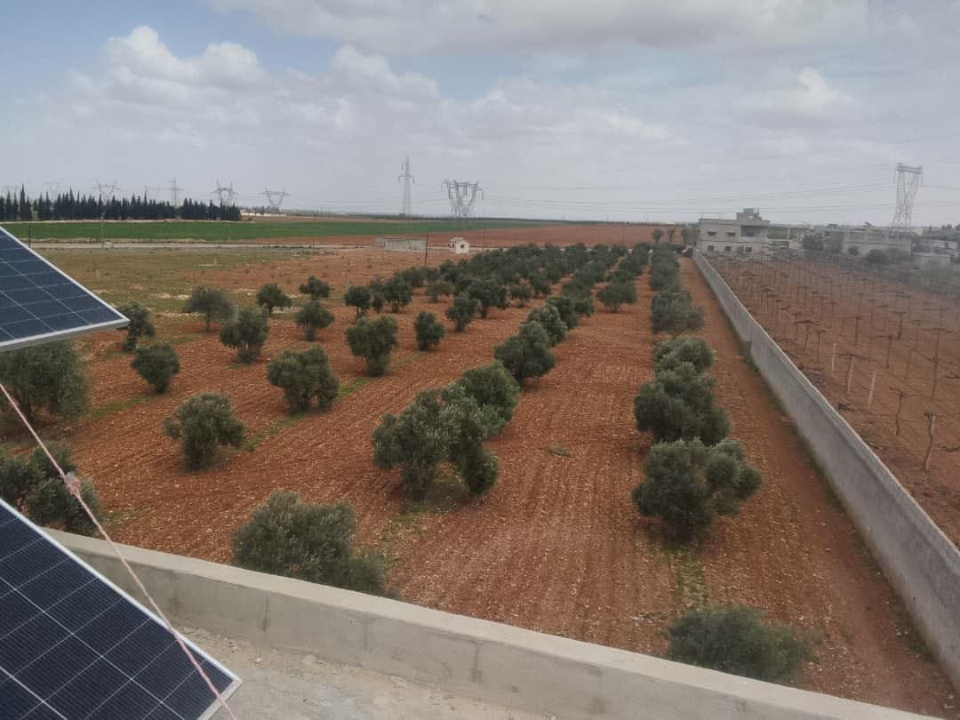 487352850_654149340679453_826983384117724655_n