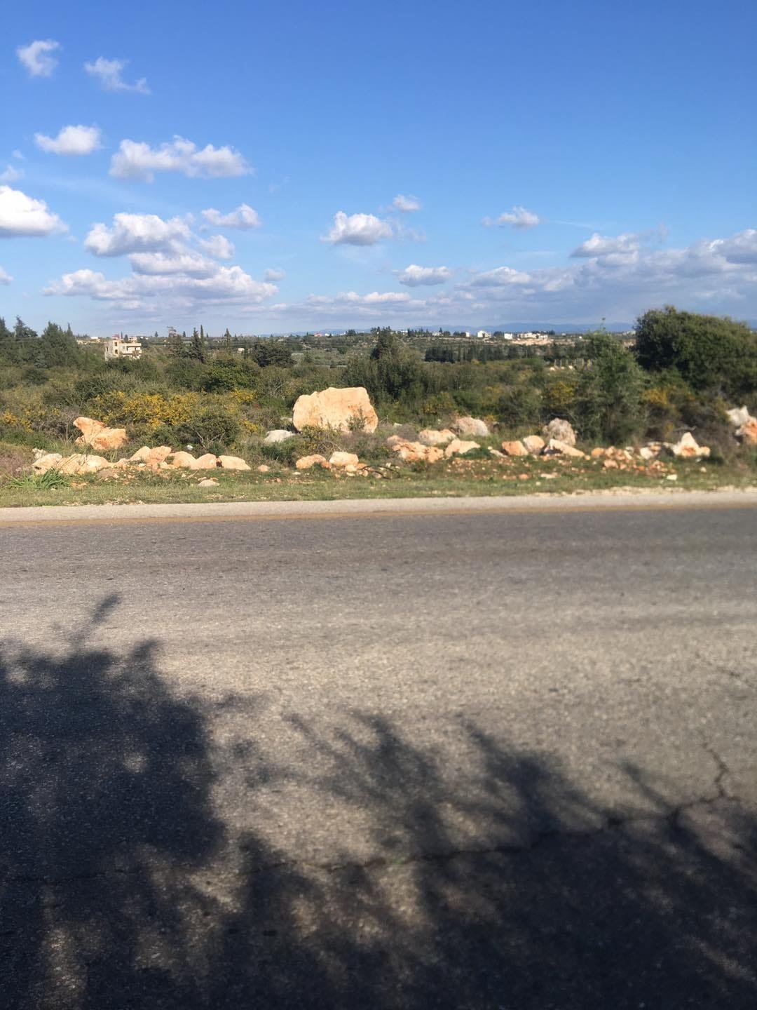 487449163_656447013804288_957105307299036374_n