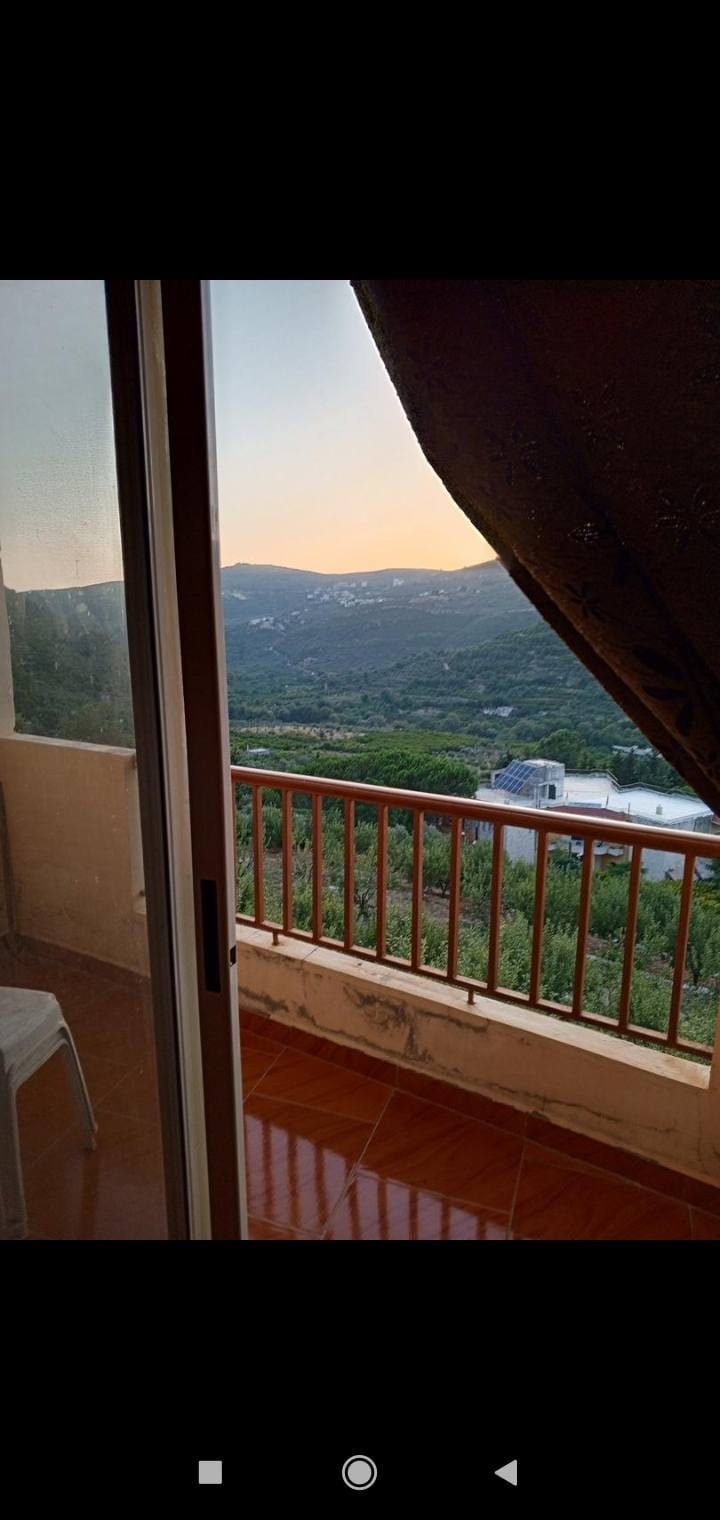 488183842_2079477129220730_8558904592707837783_n