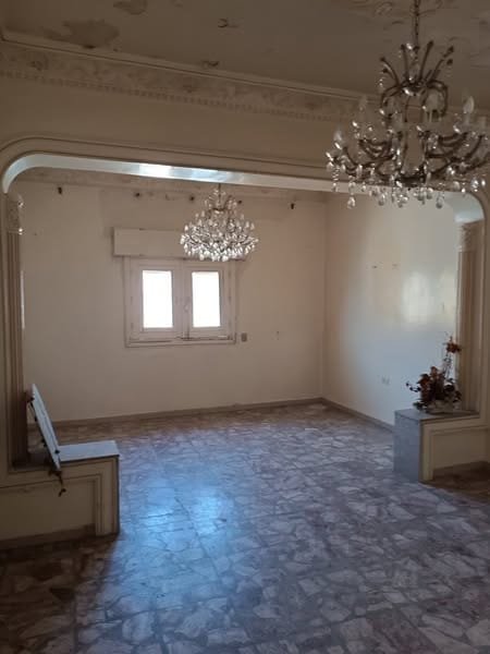 488492750_1315952940235384_6345139970681918800_n