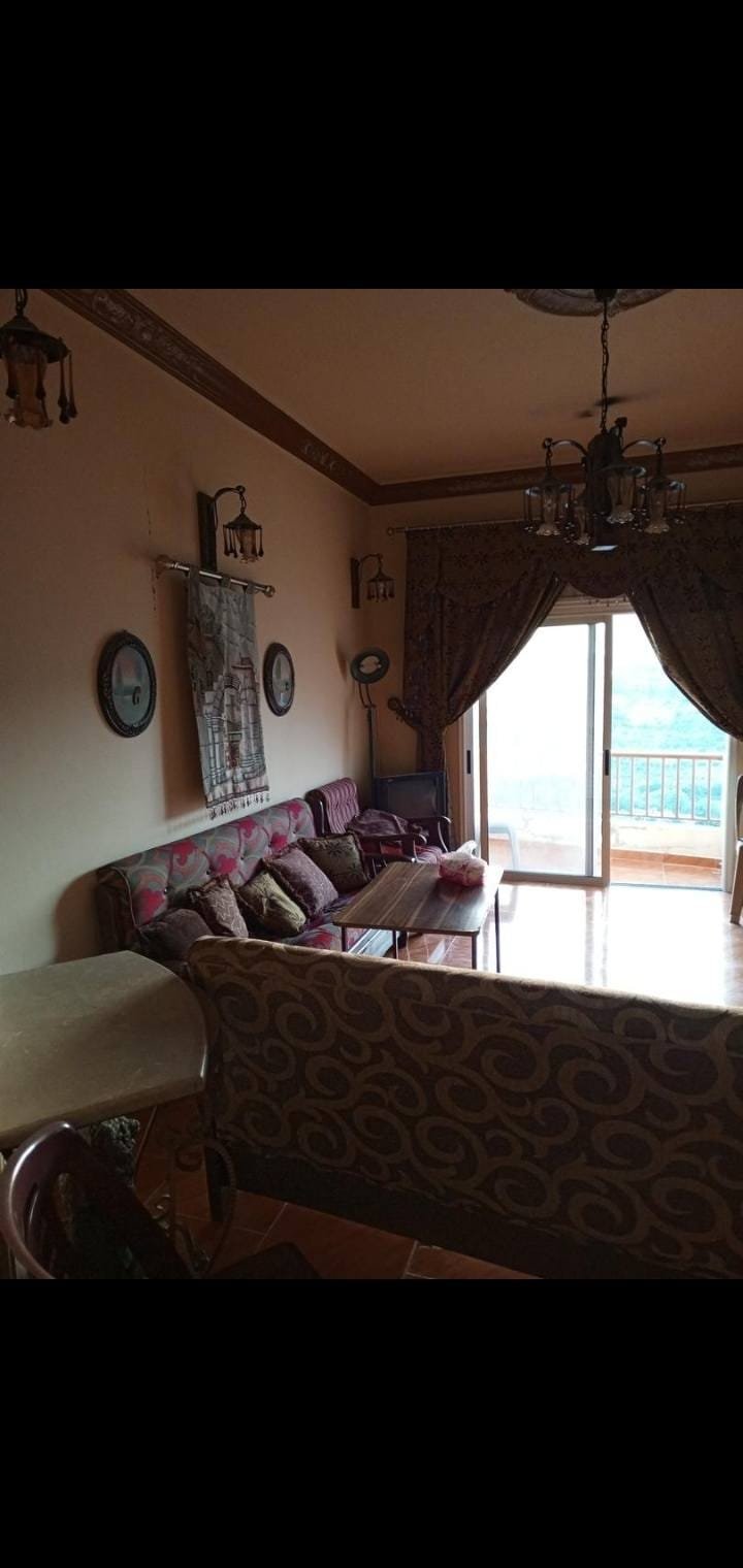 488666006_2079477215887388_9015310932902880217_n