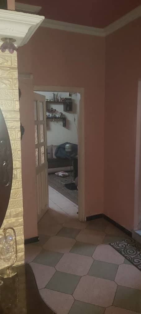 489156335_631897876324362_3102058972851500131_n