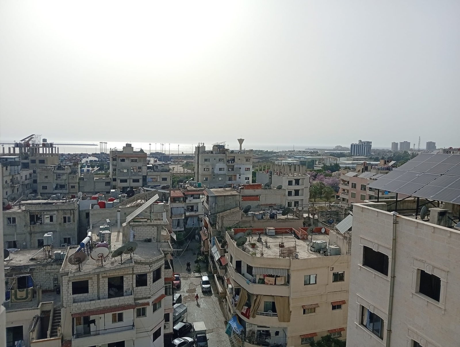 489453009_2186755995077159_3141137607356586057_n