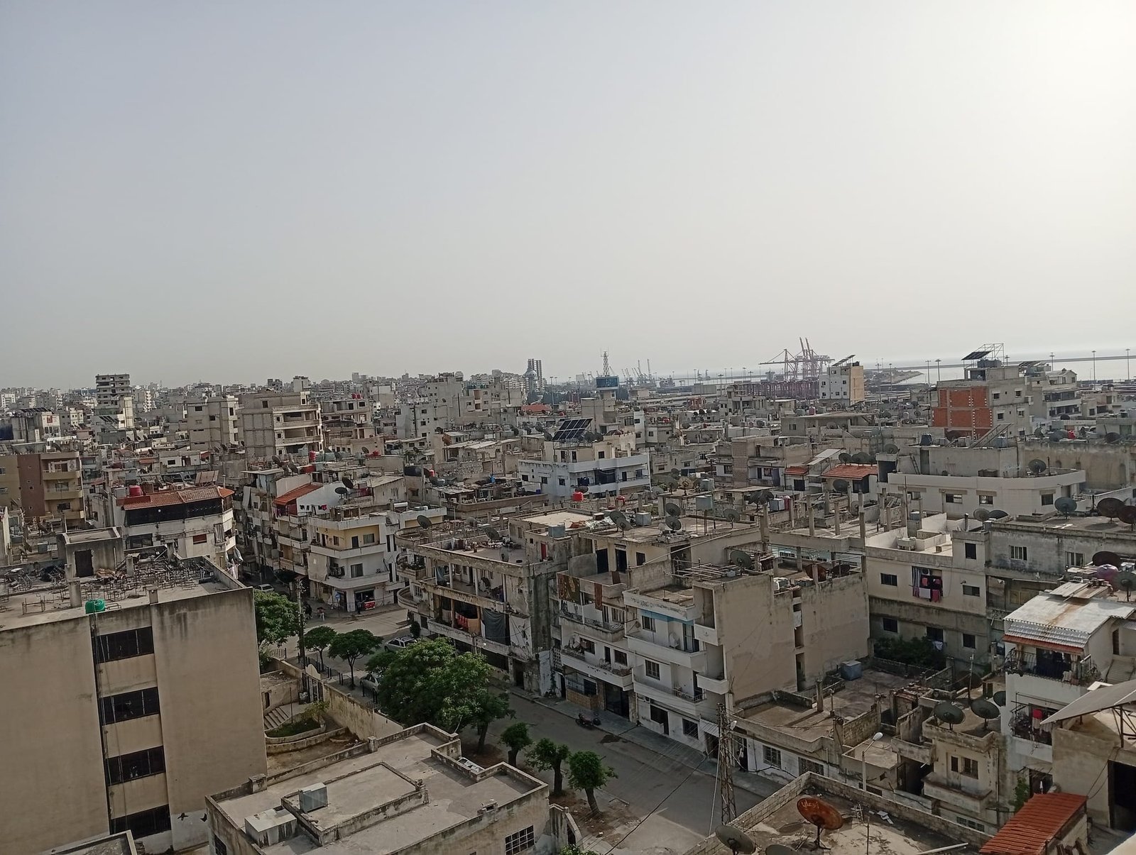 489512252_2186756301743795_4613203756258858595_n