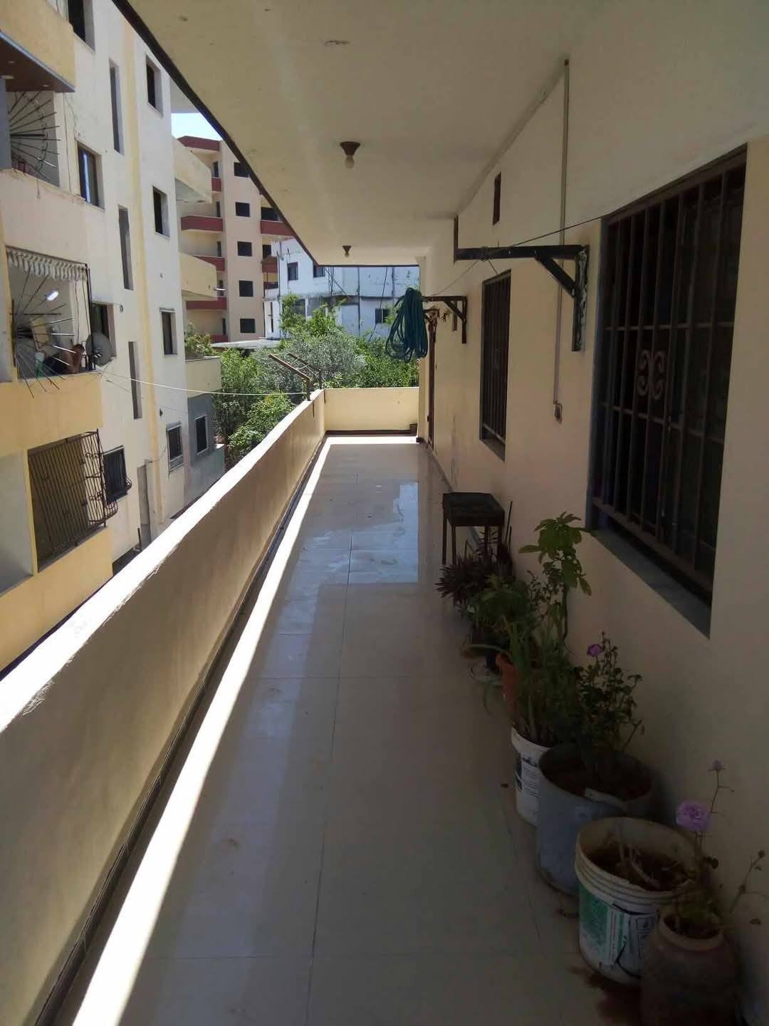 489926486_1217039203107351_8947610510155517669_n