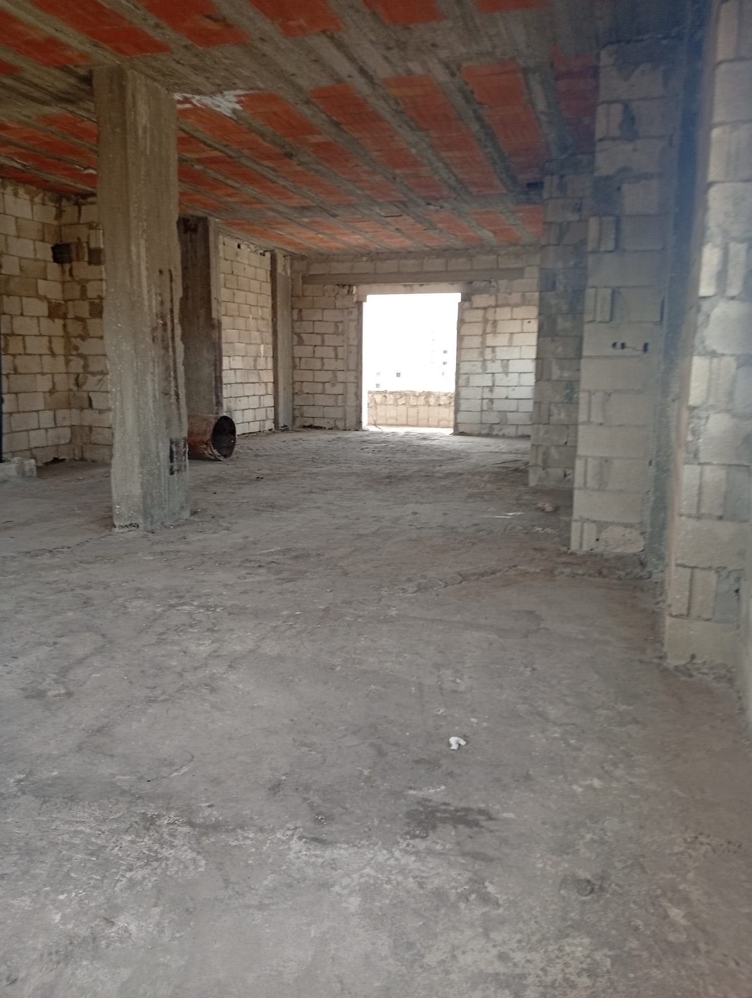 489952830_2186756995077059_6502001419515775043_n