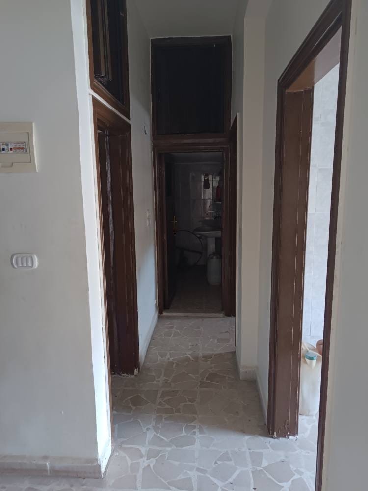 490362520_1180934983826754_7925080073624490449_n