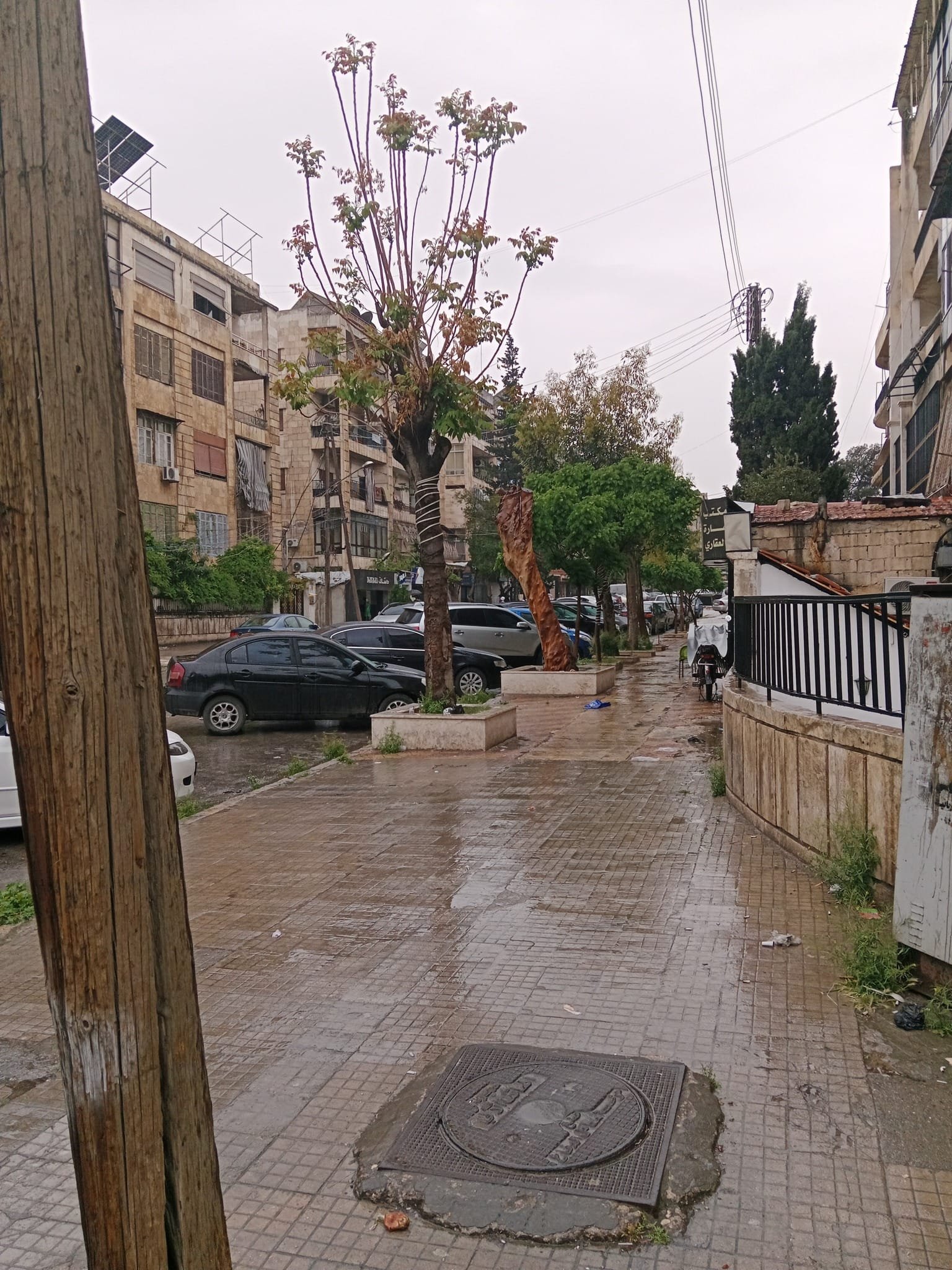 491039312_696507399549094_6317542914449940817_n