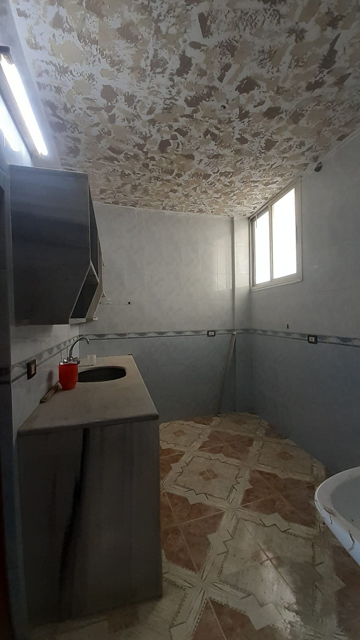 491069834_1426083245417317_8936334344801464479_n