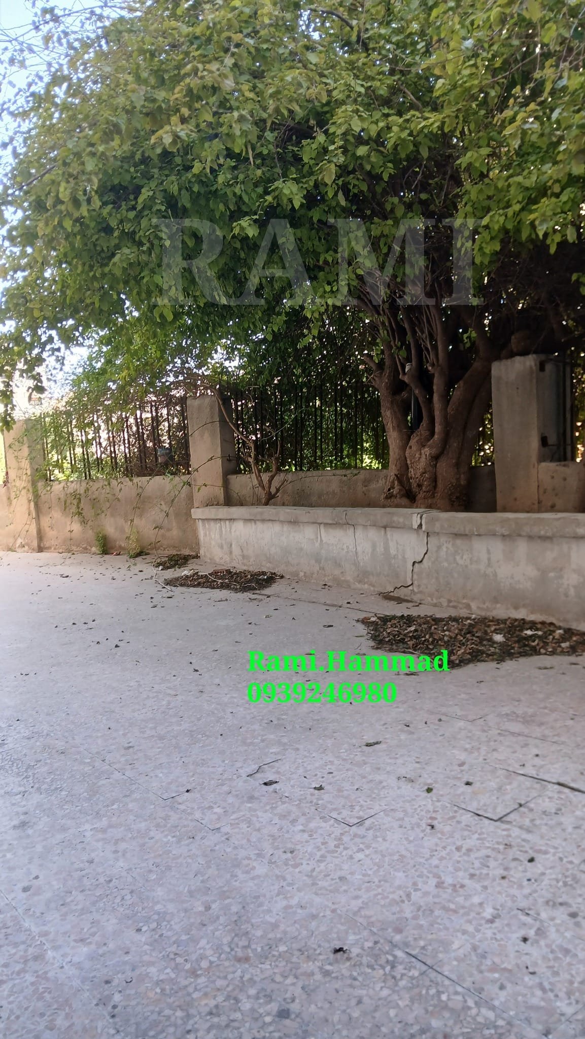 491588902_701608235689945_1431005076153665612_n