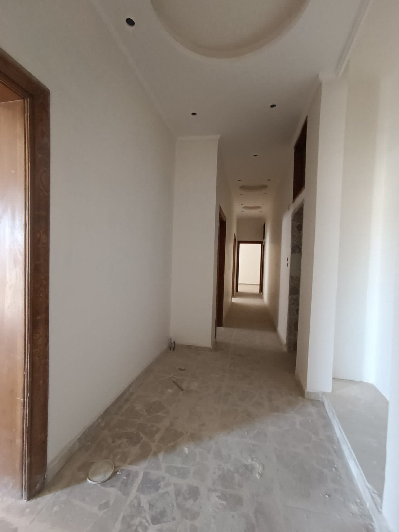 491896082_718734720541239_8984624520292675612_n