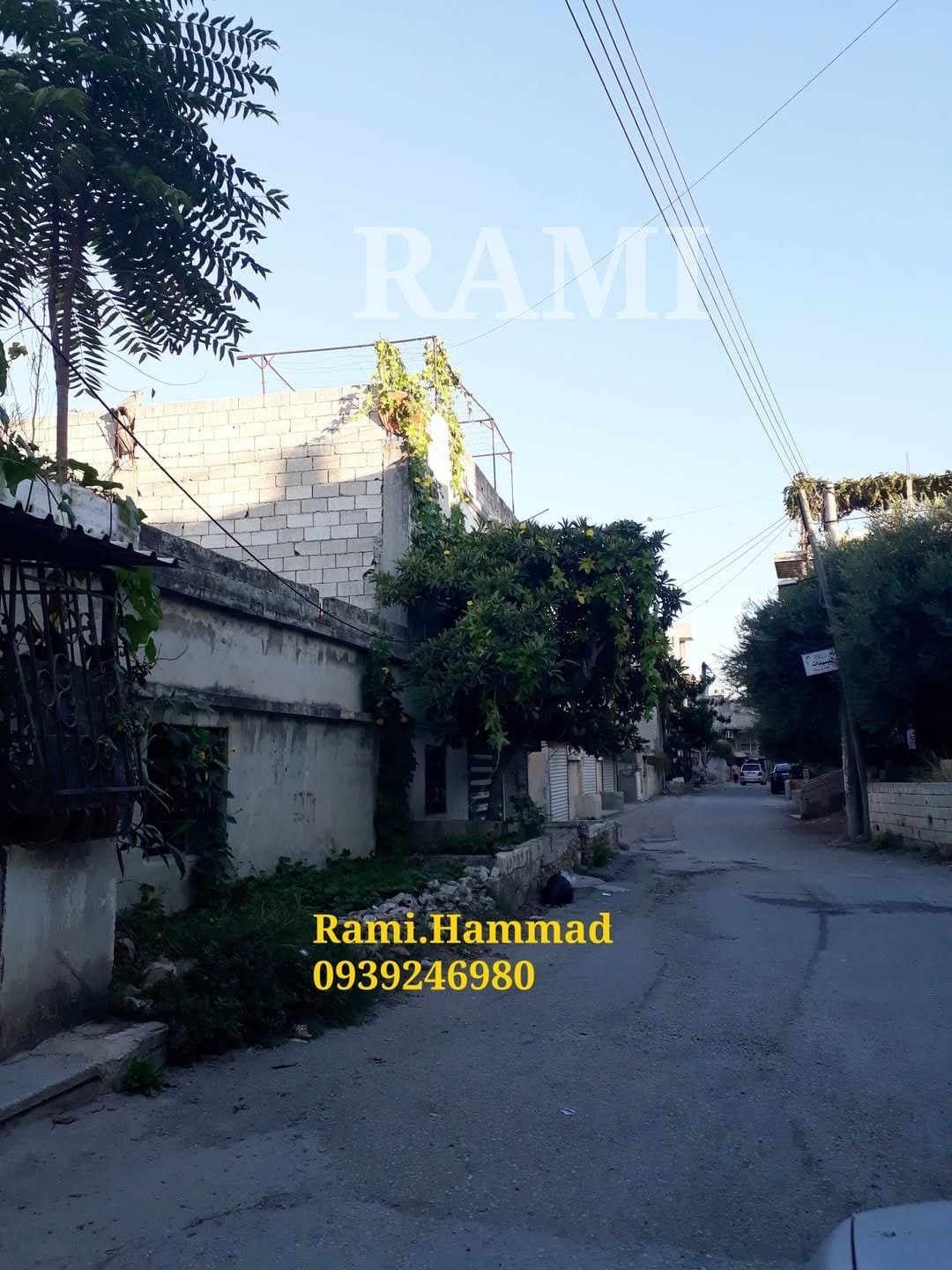 491935499_703777535473015_6839006645885414171_n