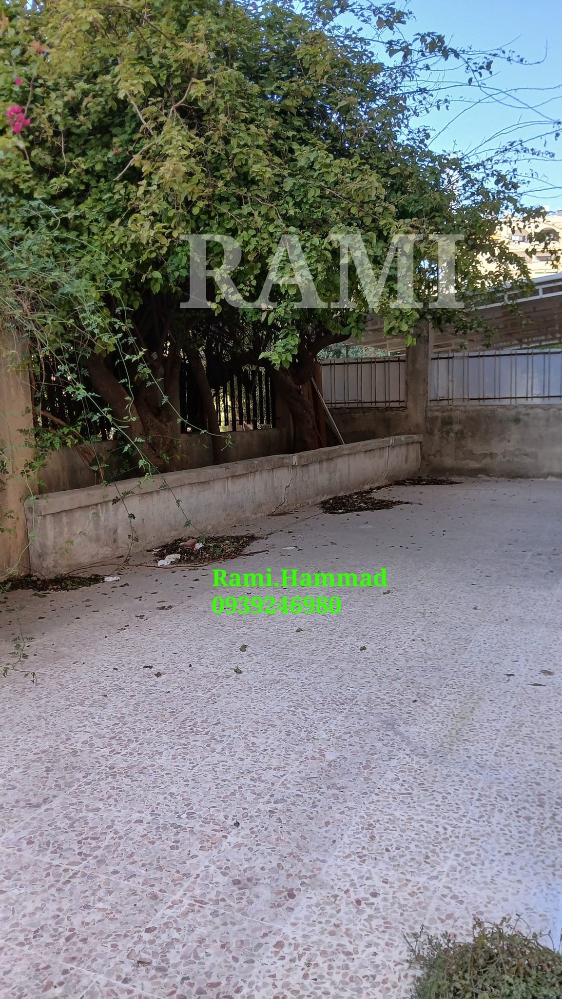 491937490_701608092356626_4290090927400677570_n