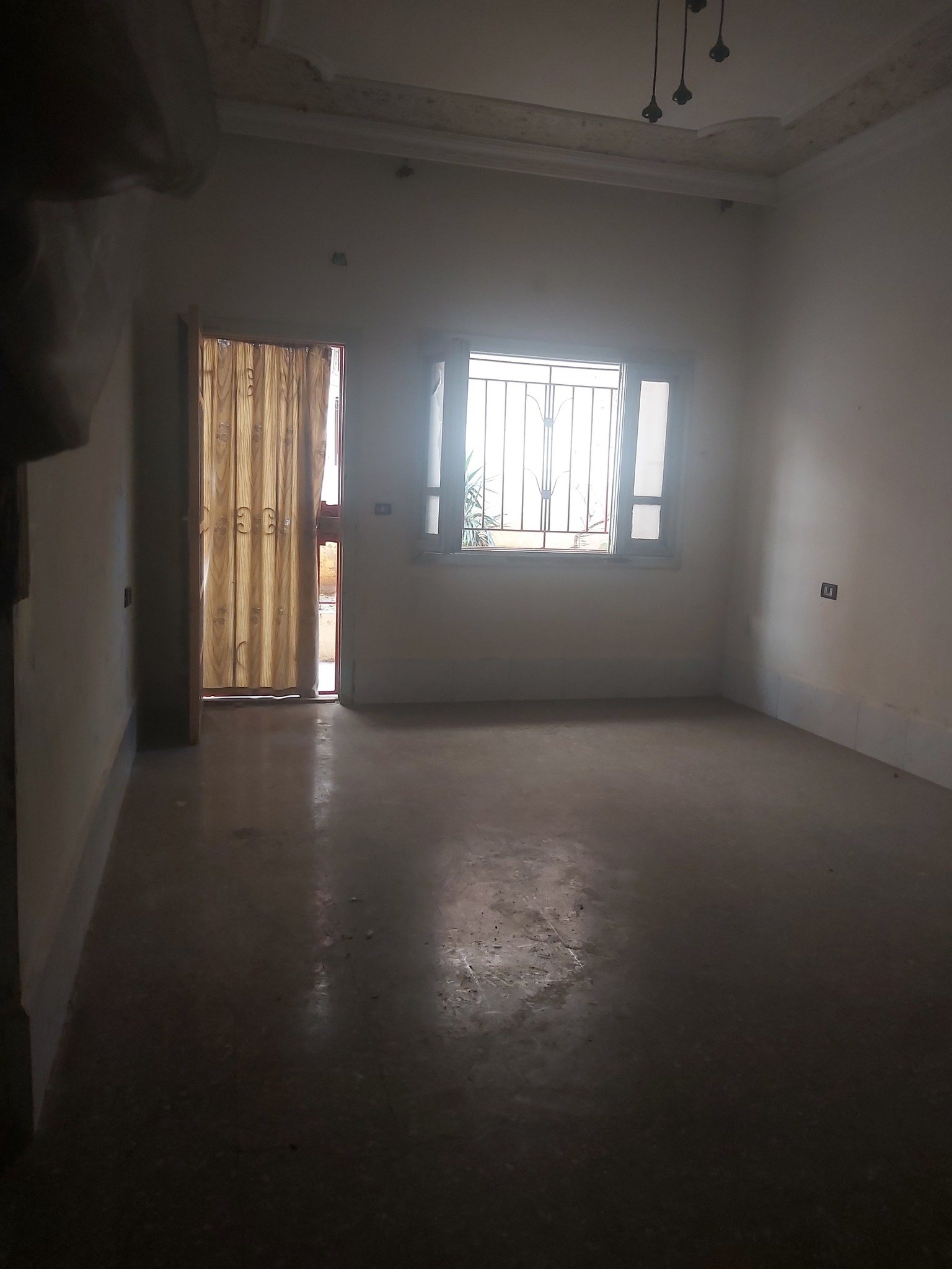 492003708_1018391493824463_3705395389475763749_n