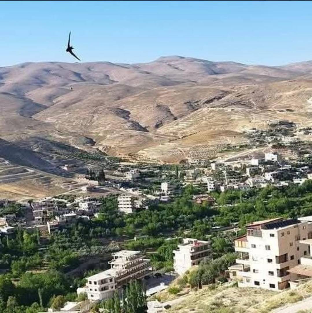 492045861_122117696108803830_5813832866367947853_n