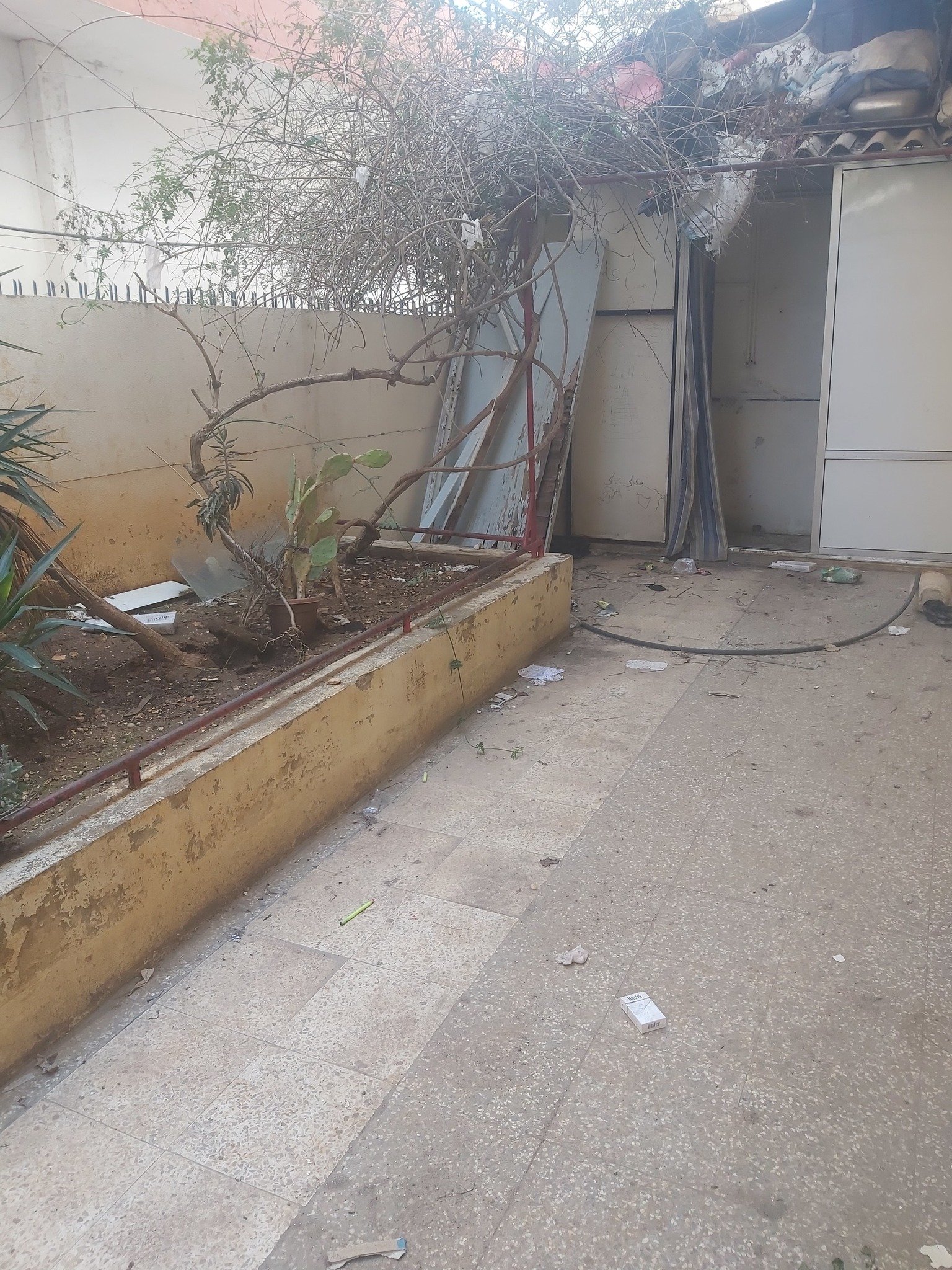 492077380_1018390970491182_6275441695205590008_n