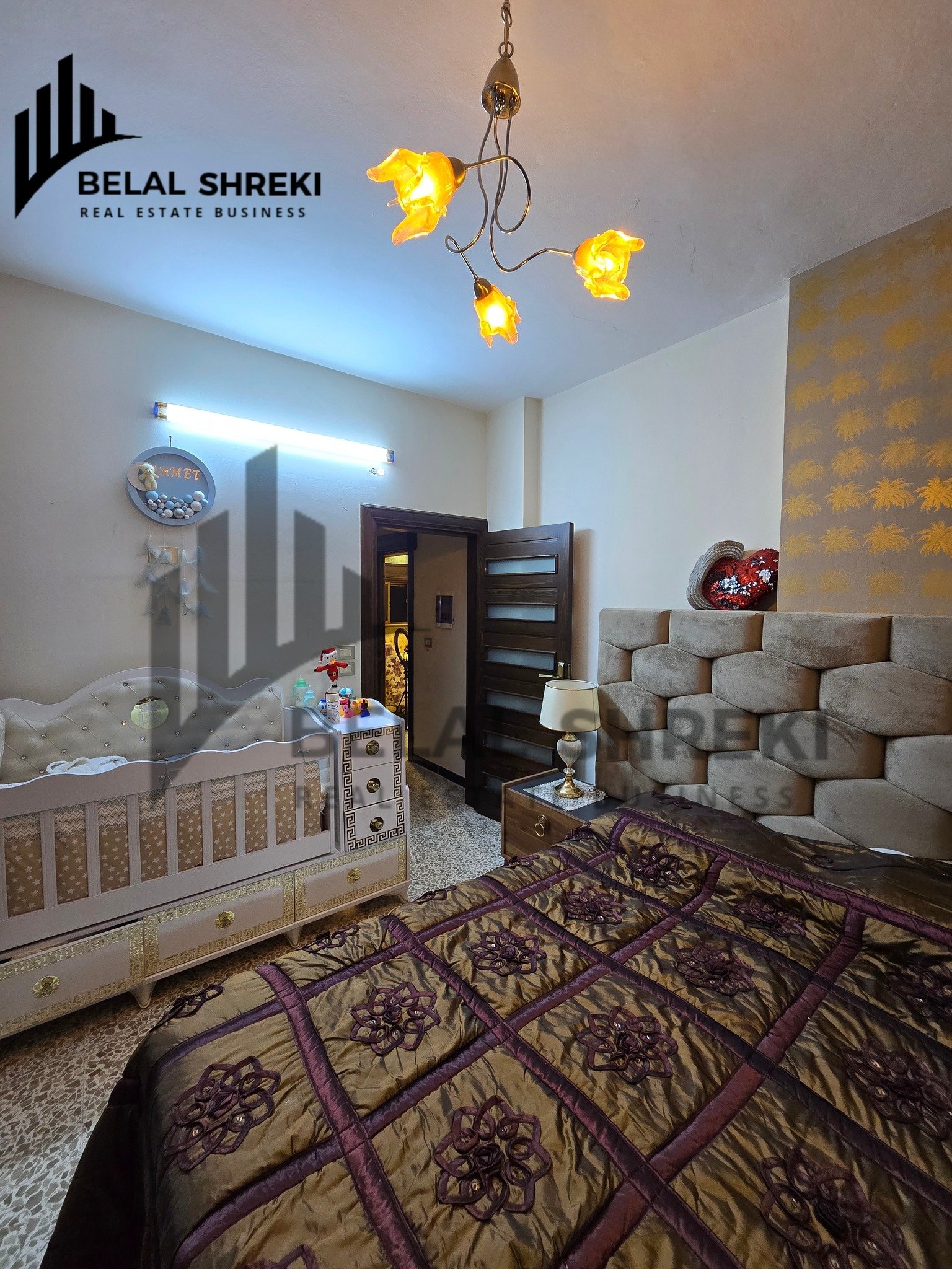 492122876_993899236219671_2049270032028606845_n