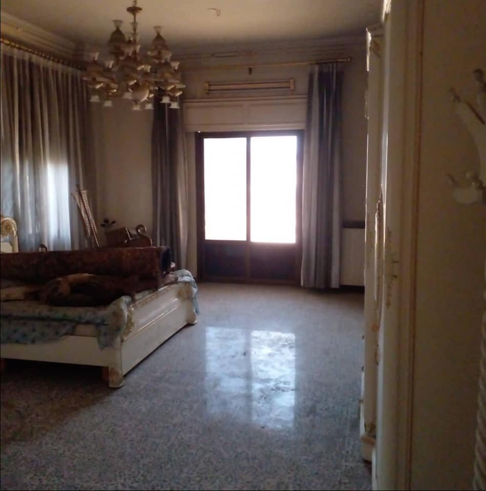 492781630_1008380318109276_8504966114065317173_n