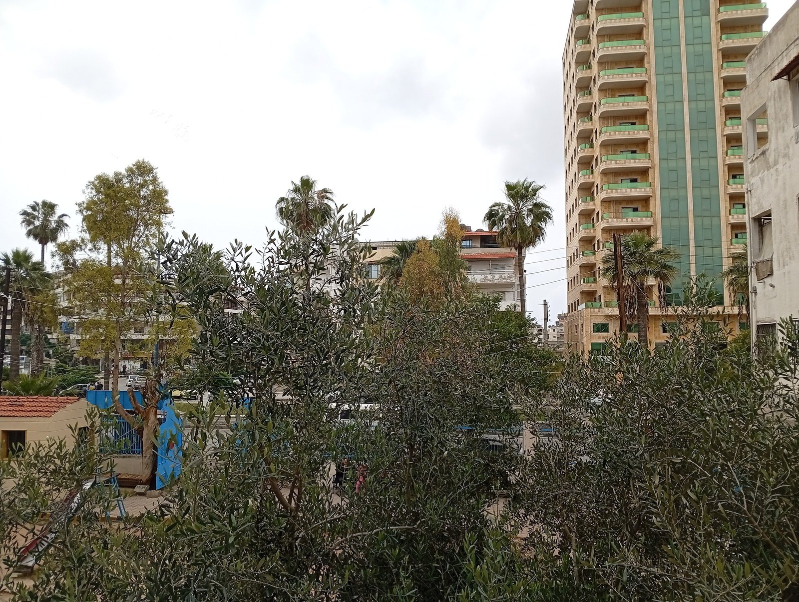 493146012_2199737037112388_7365811768666062627_n