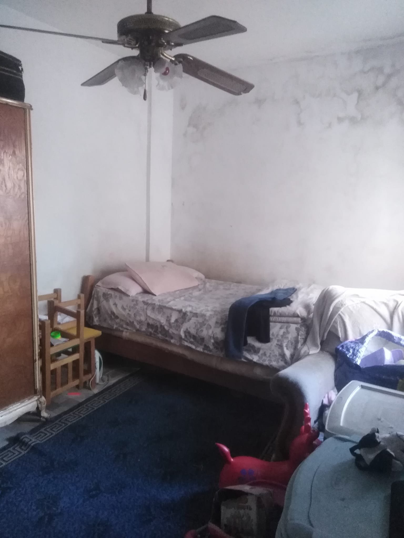 493165108_1403920360926417_1817367612511591414_n